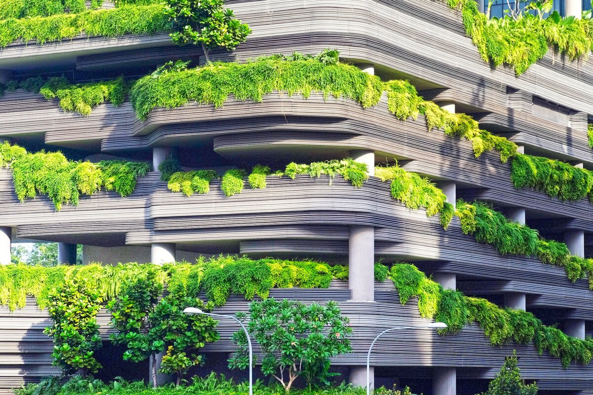 Building a Sustainable Financial Future: Green Finance in UAE
